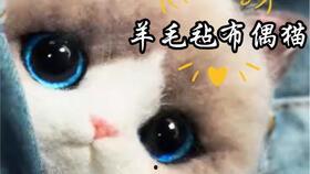 十九只海獭,十九只海獭的奇妙冒险之旅