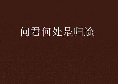 来处是归途,探寻人生旅程的起点与终点