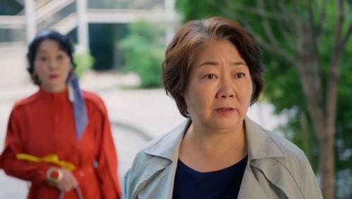 新人整顿职场记,从迷茫到崛起的蜕变之路